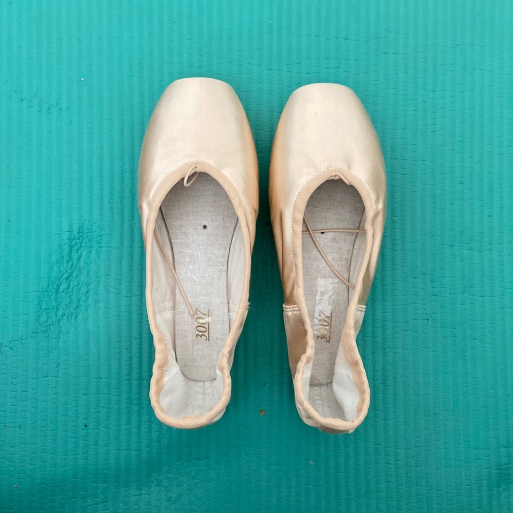Nikolai pointe shoes